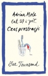 adrian-mole-lat-39-i-pol-czas-prostracji.jpg