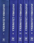 anatomia-czlowieka-1-5.jpg