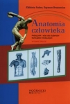 anatomia-czlowieka-9.jpg