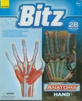 anatomia-czlowieka-budowa-dloni.jpg