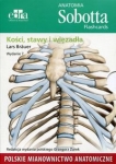 anatomia-sobotta-flashcards-kosci-stawy-i-wiezadla-1.jpg