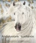 andalusians-lusitanos.jpg