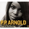 angel-of-the-morning.jpg