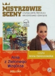 ania-z-zielonego-wzgorza-19.jpg