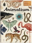 animalium-1.jpg