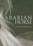 arabian-horse.jpg