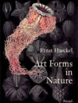 art-forms-in-nature-prints-of-ernst-haeckel.jpg