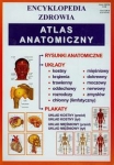 atlas-anatomiczny-encyklopedia-zdrowia-40.jpg