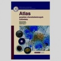 atlas-grzybow-chorobotworczych-czlowieka.jpg