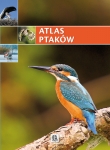 atlas-ptakow-5.jpg