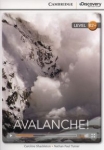 avalanche.jpg