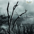 bach-trio-sonatas.jpg