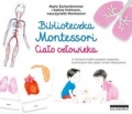 biblioteczka-montessori-cialo-czlowieka.jpg