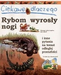 bn153232.jpg