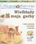 bn153241.jpg