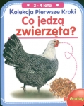 bn155314.jpg