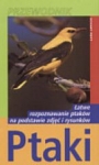 bn158468.jpg
