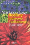bn158623.jpg