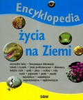 bn163156.jpg