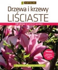 bn163766.jpg