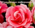 bn165104.jpg
