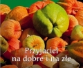 bn165145.jpg