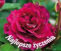 bn165168.jpg