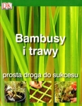 bn165697.jpg