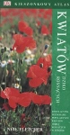 bn165702.jpg