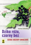 bn167542.jpg