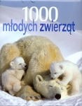 bn170899.jpg