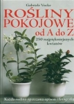 bn200384.jpg