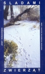 bn200964.jpg