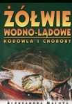 bn202589.jpg