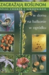 bn202590.jpg