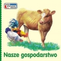 bn204431.jpg