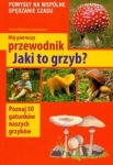 bn211855.jpg