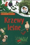bn211938.jpg