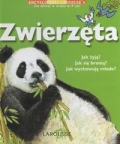 bn217725.jpg