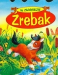 bn224750.jpg