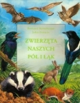 bn227264.jpg