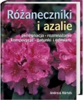 bn227552.jpg