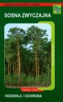 bn232552.jpg