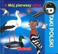 bn255100.jpg
