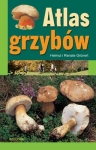 bn289585.jpg