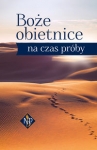 boze-obietnice-na-czas-proby.jpg