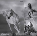 brulion-a4-top-2000-w-kratke-192-kartki-wild-horses-mix.jpg