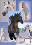 brulion-a5-top-2000-w-kratke-96-kartek-winter-horses-mix.jpg