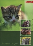 brulion-a5-w-linie-96-kartek-garden-tiger-5-sztuk.jpg