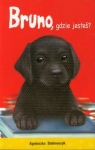 bruno-gdzie-jestes.jpg